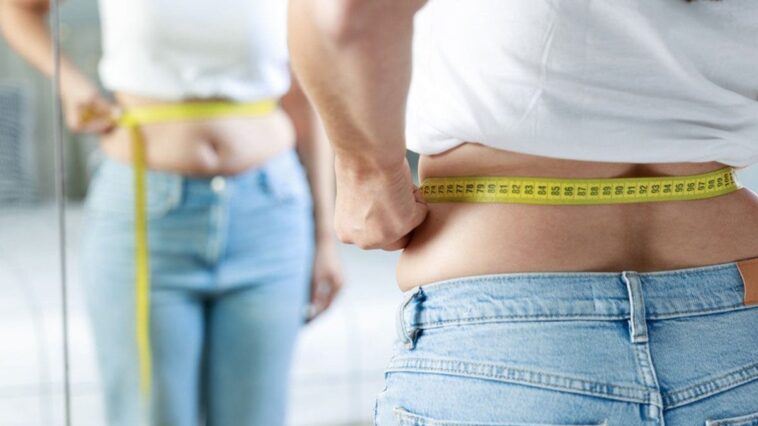 Découverte d'un nouvel "interrupteur" brûleur de calories qui active le gras brun pour perdre du poids 1 Image