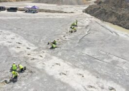 Des empreintes de dinosaures spectaculaires vieilles de 166 millions d'années découvertes au Royaume-Unis : une autoroute jurassique révélée 1 Credit: Università di Birmingham