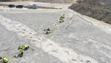 Des empreintes de dinosaures spectaculaires vieilles de 166 millions d'années découvertes au Royaume-Unis : une autoroute jurassique révélée 28 Credit: Università di Birmingham