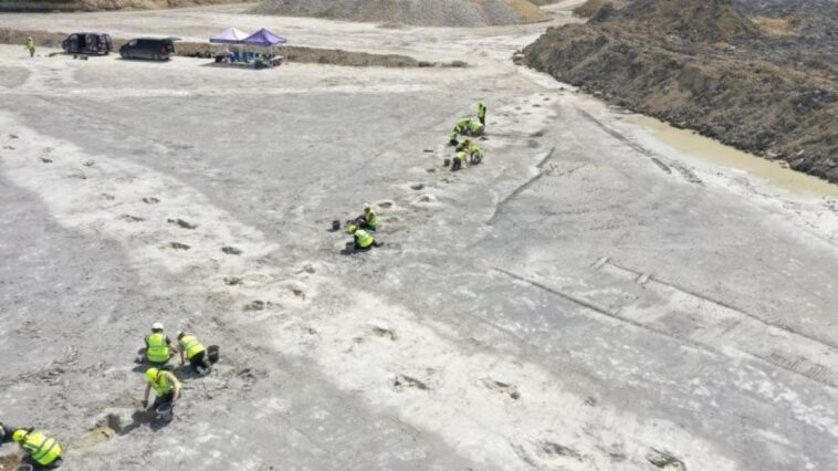 Des empreintes de dinosaures spectaculaires vieilles de 166 millions d'années découvertes au Royaume-Unis : une autoroute jurassique révélée 1 Credit: Università di Birmingham