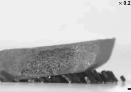 Des essaims de robots "type fourmi" soulèvent des objets lourds avec une force surhumaine 88 Des essaims de robots "type fourmi" soulèvent des objets lourds avec une force surhumaine