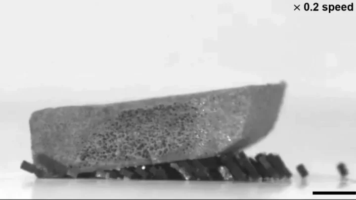 Des essaims de robots "type fourmi" soulèvent des objets lourds avec une force surhumaine 2 Image de microrobots de chercheurs de Corée du Sud