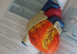 Des scientifiques utilisent des TAC et de l'IA pour anticiper les crises cardiaques des années à l'avance 64 Des scientifiques utilisent des TAC et de l'IA pour anticiper les crises cardiaques des années à l'avance