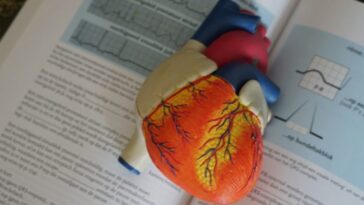 Des scientifiques utilisent des TAC et de l'IA pour anticiper les crises cardiaques des années à l'avance 18 Des scientifiques utilisent des TAC et de l'IA pour anticiper les crises cardiaques des années à l'avance
