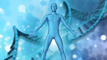 Est-ce cela la réincarnation ? Les atomes de carbone de notre corps voyagent depuis des temps immémoriaux avant de nous façonner
