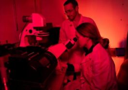Gli autori dello studio esposti alla luce rossa durante un esperimento. Credit: Università di Pittsburgh
