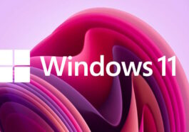La part de marché de Windows 11 chute à nouveau, tandis que Windows 10 en profite