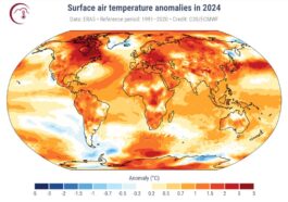 Les anomalies exprimées en degrés Celsius des températures de l'air enregistrées en 2024 par rapport à la période 1991-2020 / Crédit : C3S/ECMWF