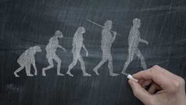 Le mystère de l'Homo juluensis, l'hominidé au "crâne énorme" qui pourrait réécrire l'histoire de l'humanité 23 Immagine
