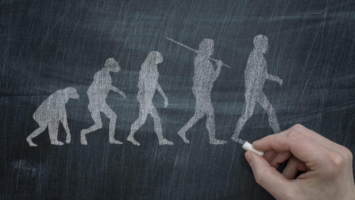 Le mystère de l'Homo juluensis, l'hominidé au "crâne énorme" qui pourrait réécrire l'histoire de l'humanité 2 Immagine