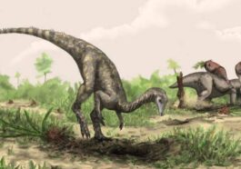 Illustration de Nyasasaurus parringtoni. Crédit : Mark Witton/The Trustees of the Natural History Museum