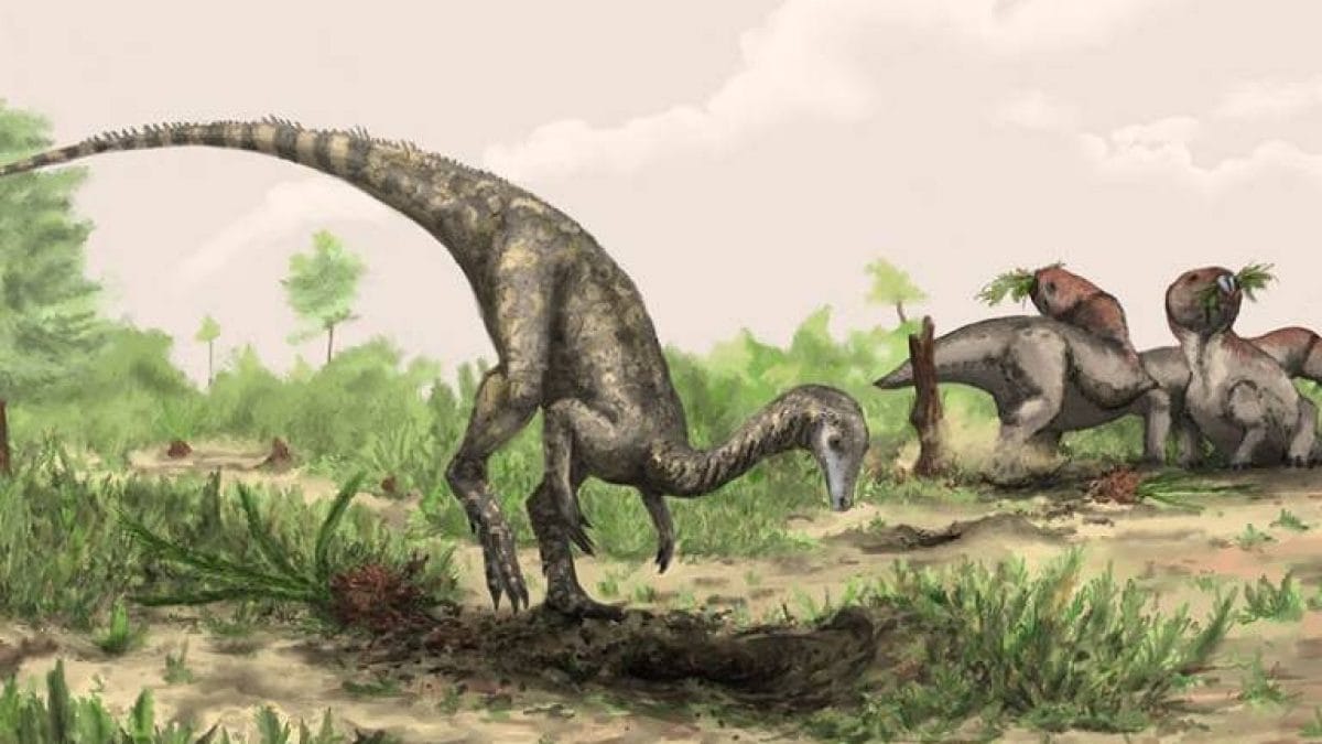 Les dinosaures vivent parmi nous, mais leurs origines restent un mystère : une étude révèle où chercher des fossiles anciens 2 Illustration de Nyasasaurus parringtoni. Crédit : Mark Witton/The Trustees of the Natural History Museum