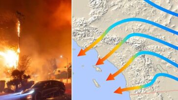 Les incendies de Los Angeles s'intensifient à cause des vents de Santa Ana : qu'est-ce que c'est et pourquoi sont-ils si menaçants ? 5 Les incendies de Los Angeles se propagent à cause des vents de Santa Ana, des vents forts et secs qui soufflent de l'intérieur de la Californie vers la côte et créent des conditions météorologiques critiques pour la diffusion des flammes