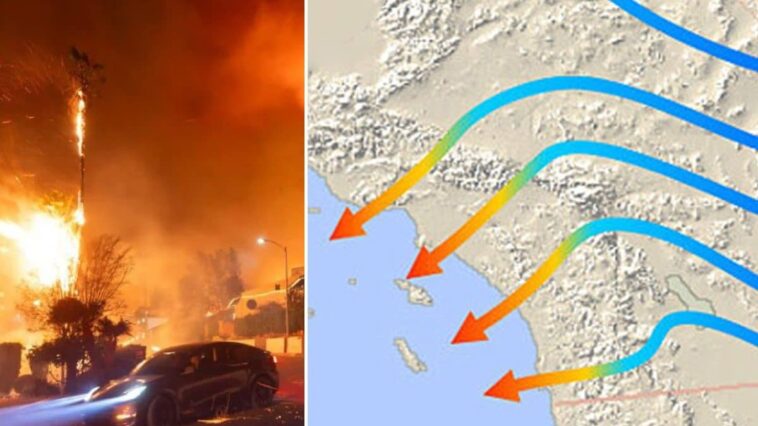 Les incendies de Los Angeles s'intensifient à cause des vents de Santa Ana : qu'est-ce que c'est et pourquoi sont-ils si menaçants ? 1 Les incendies de Los Angeles se propagent à cause des vents de Santa Ana, des vents forts et secs qui soufflent de l'intérieur de la Californie vers la côte et créent des conditions météorologiques critiques pour la diffusion des flammes