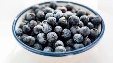 Noix, algues et myrtilles : découvrez les aliments à empreinte carbone négative pour une alimentation véritablement durable 13 Noix, algues et myrtilles : découvrez les aliments à empreinte carbone négative pour une alimentation véritablement durable