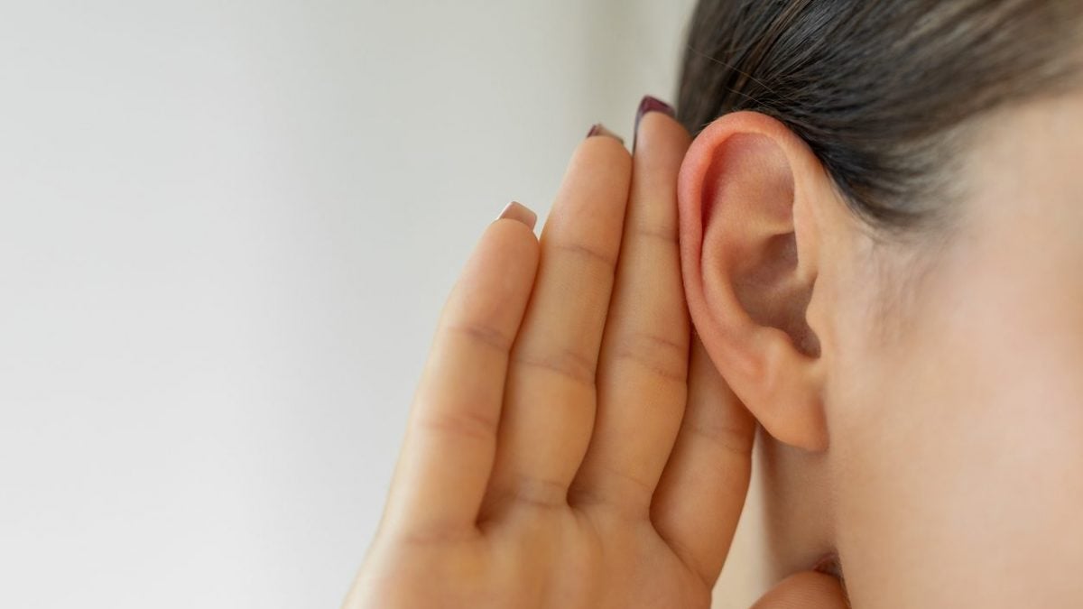 Pourquoi seules quelques personnes peuvent bouger leurs oreilles et quelle est la fonction des muscles auriculaires ? 2 Image