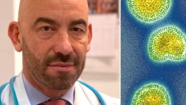 Quand le pic de l'influence se produira-t-il ? L'infectiologue Bassetti avertit : "Forte fièvre possible pendant plusieurs jours" 9 Image