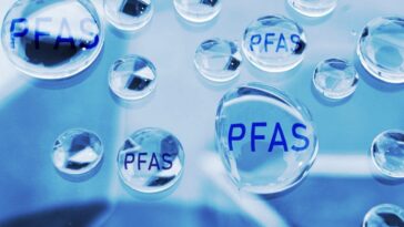 Que sont les PFAS, ces « substances chimiques éternelles » que l'industrie refuse d'interdire ? 9 Image