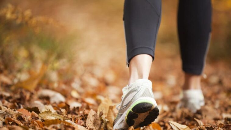 Quelques minutes d'activité physique par jour réduisent le risque de 19 maladies, y compris le cancer 1 Immagine