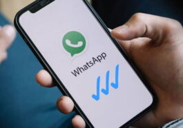 Troisième check bleu de WhatsApp : ce que l'on sait et ce que l'on ne sait pas sur cette fonctionnalité