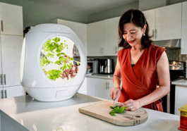 Vous pourrez bientôt récolter vos propres légumes même en vivant en appartement grâce à ce jardin futuriste