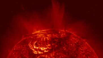 Un immense filament solaire propulse une éruption vers la Terre, tempête solaire attendue le 29 janvier : découvrez la vidéo 2 Il filamento solare emerso sulla superficie del Sole. Credit: LMSAL