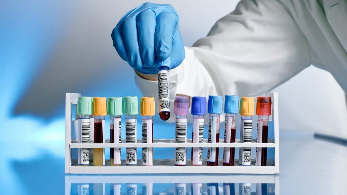 Un test sanguin peut déterminer la durée de l'immunité générée par un vaccin 2 Image