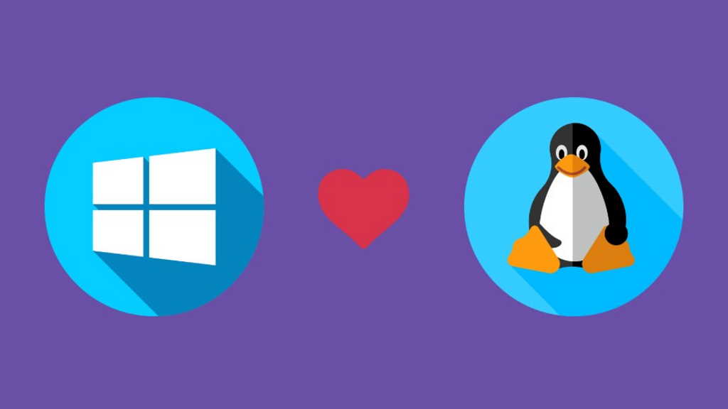Vous ne pouvez pas migrer vers Windows 11 ? Découvrez pourquoi les experts recommandent Linux comme la solution idéale 3 Windows 10 Linux Microsoft Windows 11