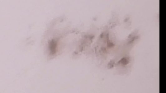 Que sont les trous coronaux et quels impacts ont-ils sur la Terre : décryptage de la physicienne Valentina Penza 4 Vignette vidéo