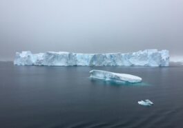 Les Fissures Dans La Glace Du Groenland S'élargissent, Menaçant D'accélérer
