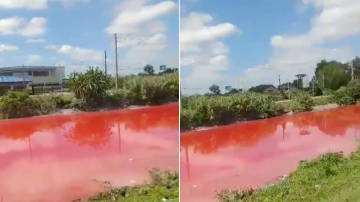 Le torrent qui se teinte entièrement de rouge : la vidéo des eaux du Sarandí 2 X | Images des vidéos montrant le torrent Sarandí