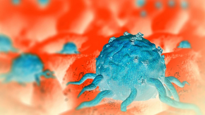 Et si le risque de développer un cancer était déjà déterminé avant la naissance ? 3 1739014240 762 Et si le risque de developper un cancer etait deja