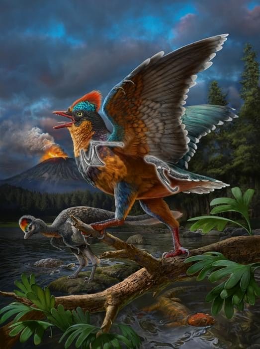 Fossile extraordinaire du Jurassique révèle l'origine des oiseaux des dinosaures : "Une découverte révolutionnaire" 5 Crédit : ZHAO Chuang