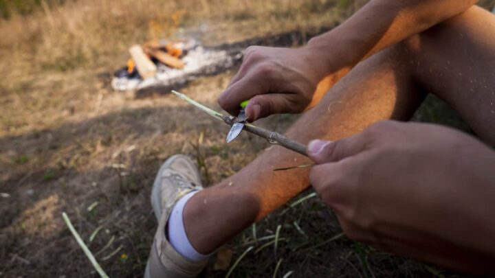 1740084243 761 Les instincts primitifs de survie influencent ils encore nos decisions societales