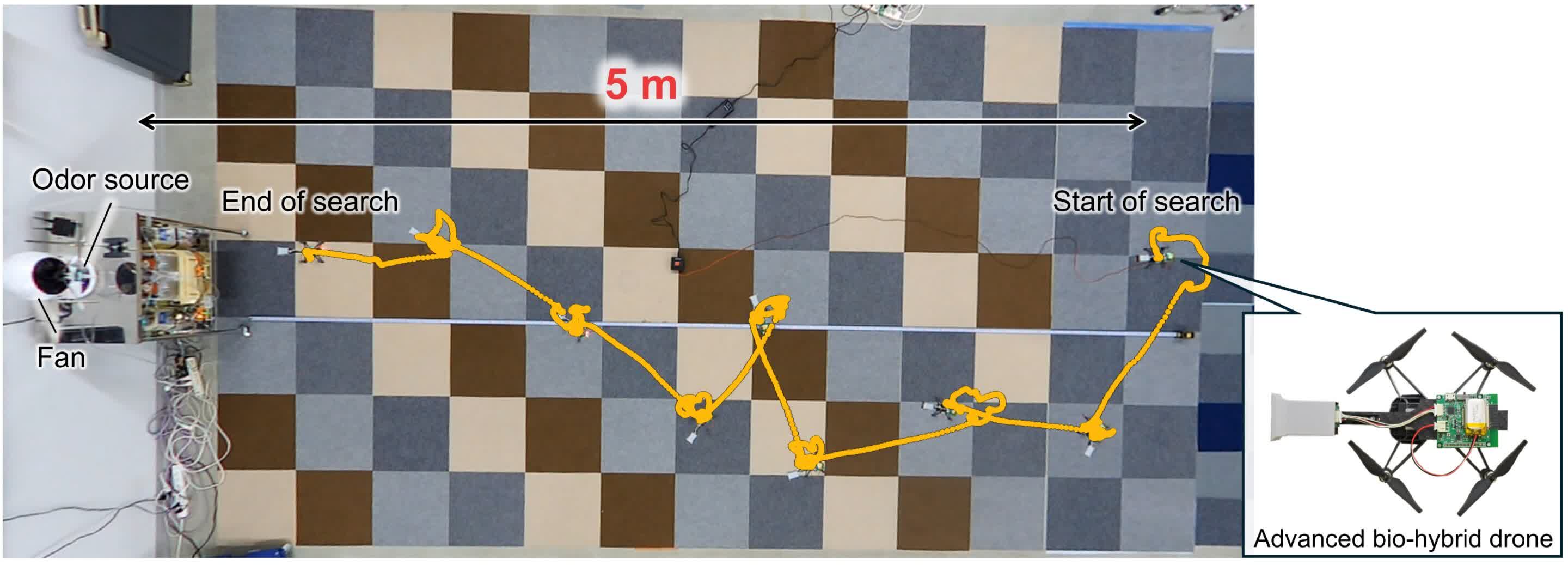 Des scientifiques équipent des drones d'antennes d'insectes pour une navigation olfactive révolutionnaire 3 1740160674 744 Des scientifiques equipent des drones dantennes dinsectes pour une navigation