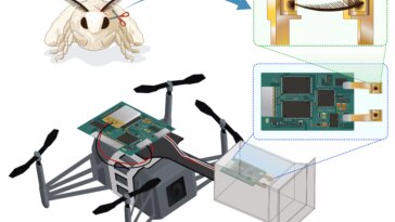 Des Scientifiques équipent Des Drones D'antennes D'insectes Pour Une Navigation