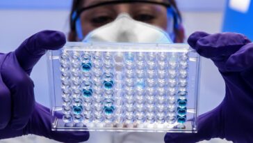 Des Scientifiques Ont Passé 10 Ans Sur Un Mystère De