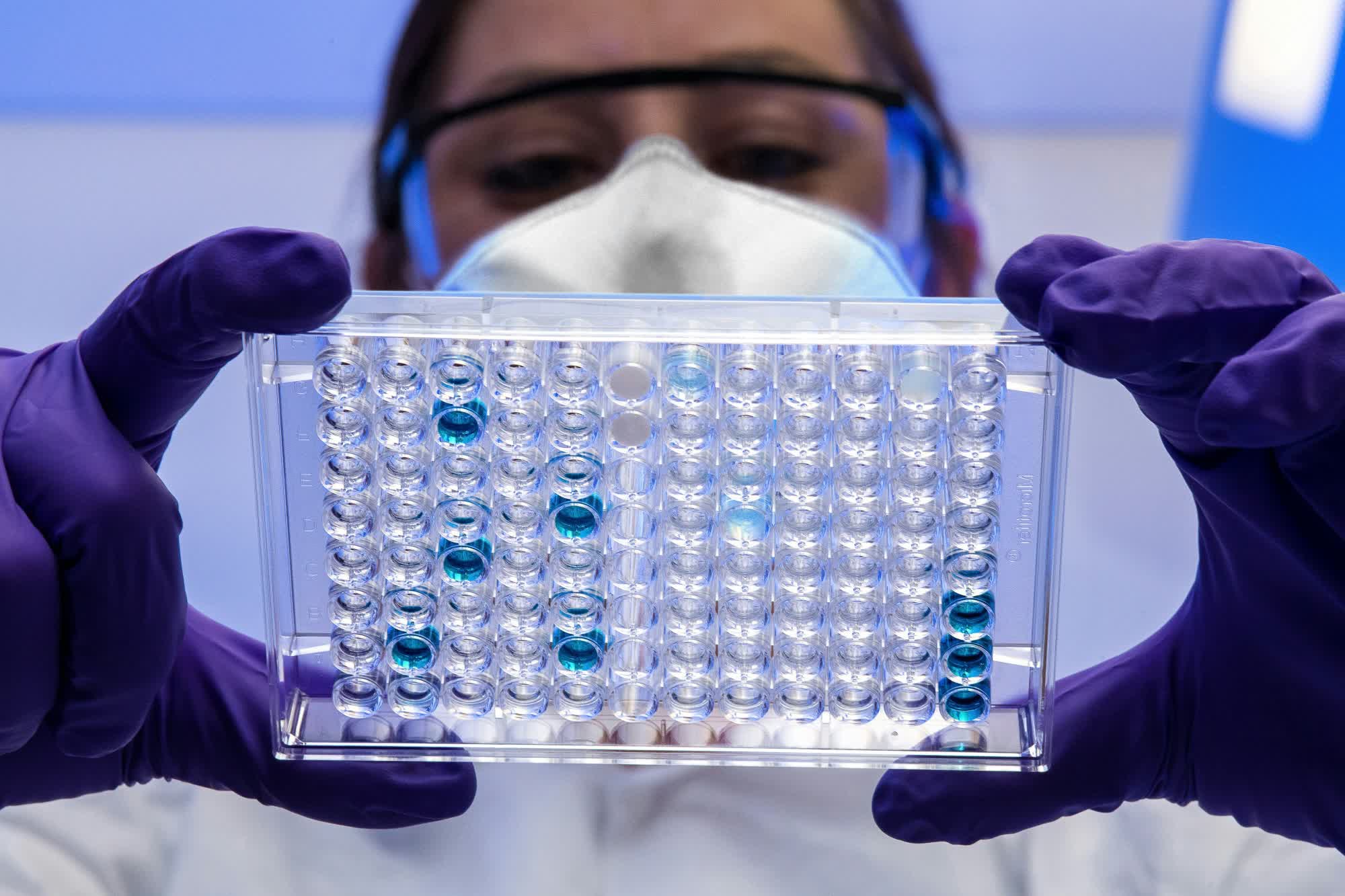 Des Scientifiques Ont Passé 10 Ans Sur Un Mystère De