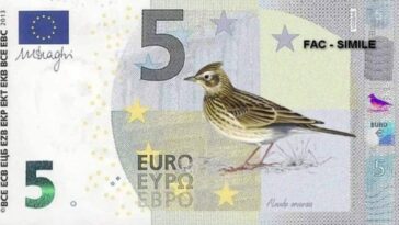 À quoi ressembleront les nouveaux euros : découvrez les illustrations qui orneront chaque billet 8 LIPU-BirdLIFE | Un croquis de la banque de 5 euros avec un alouette (non sélectionnée) inspirée par le thème "Rivières et oiseaux"