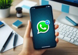 Adieu au vert de WhatsApp ! Des thèmes colorés arrivent pour tous les utilisateurs