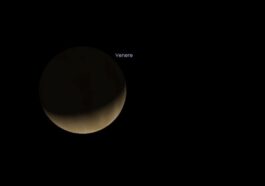 Le croissant de Vénus visible aujourd'hui, 17 février 2025. Crédit : Stellarium