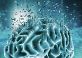 Combien de plastique y a-t-il dans votre cerveau ? Des chercheurs alarmés par la réponse… 35 Combien de plastique y a-t-il dans votre cerveau ? Des chercheurs alarmés par la réponse…