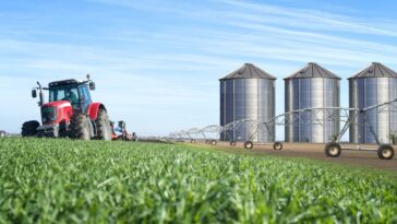 Comment une éponge peut résoudre le problème de l'utilisation incontrôlée des engrais : l'invention révolutionnaire 29 Image