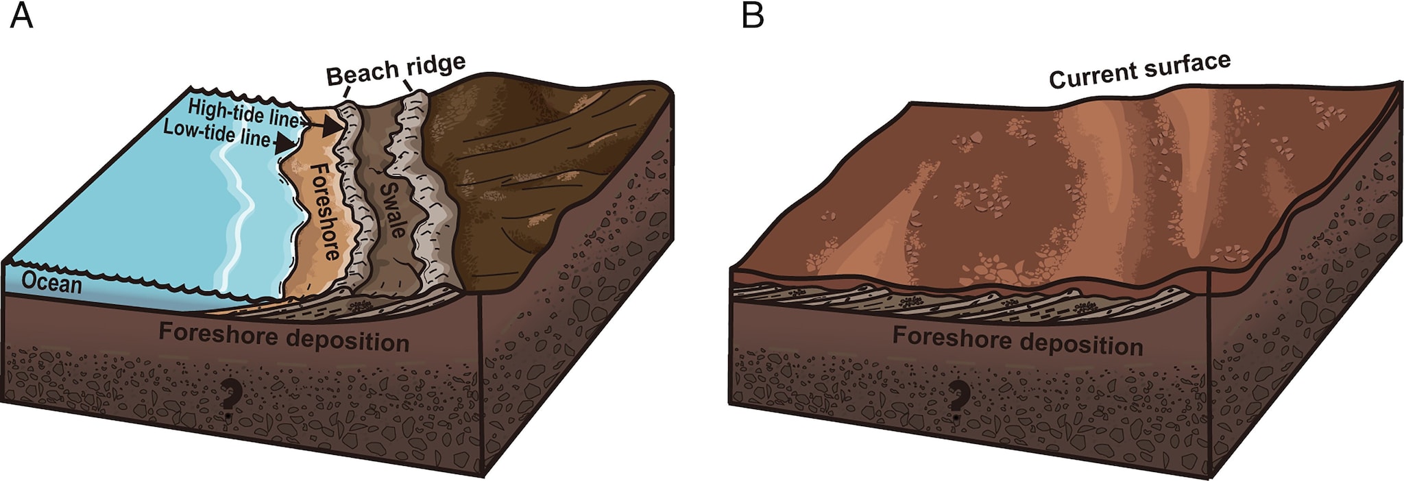 Découverte de "plages de vacances" sur Mars : autrefois, un véritable océan existait sur la planète rouge 3 Les plages de Mars. Crédit: PNAS