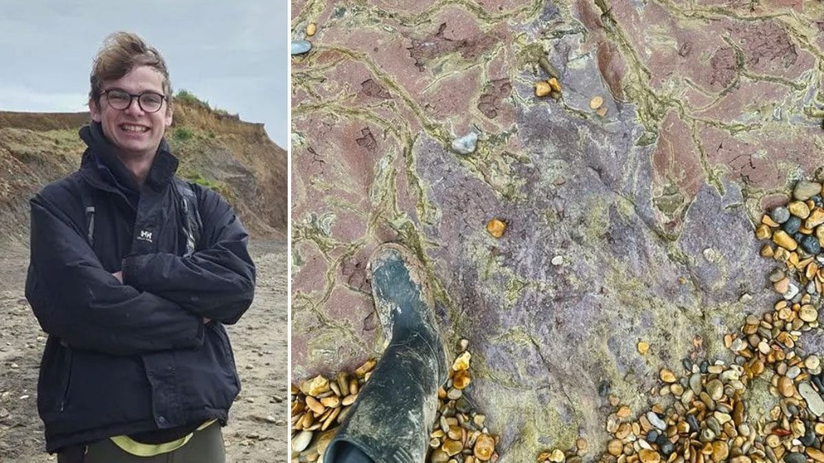Joe Thompson, un giovane paleontologo di 23 anni, che ha scoperto un'impronta di iguanodonte su una spiaggia dell'isola di Wight, nel Regno Unito / Credit: Instagram/@wightcoastfossils