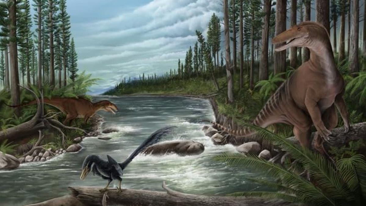Des restes de gigantesques rapaces préhistoriques découverts en Australie 2 Crédit : Illustration de Jonathan Metzger. Source : Museums Victoria
