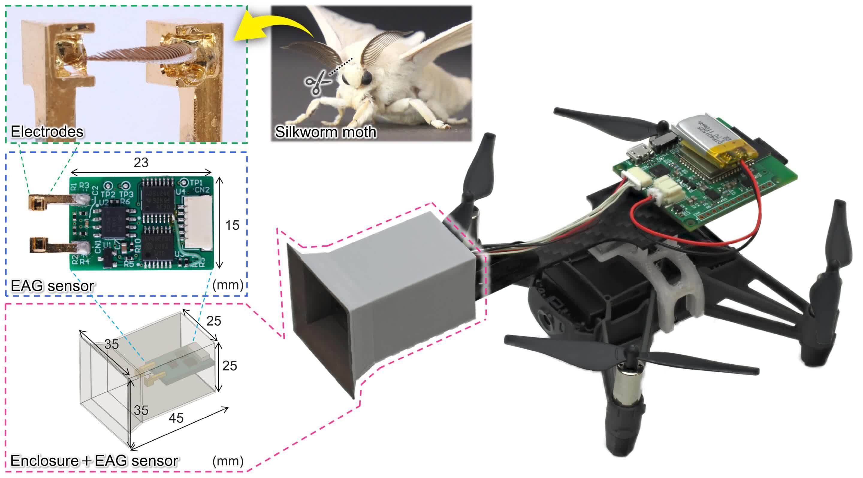 Des scientifiques équipent des drones d'antennes d'insectes pour une navigation olfactive révolutionnaire 2 Des scientifiques equipent des drones dantennes dinsectes pour une navigation