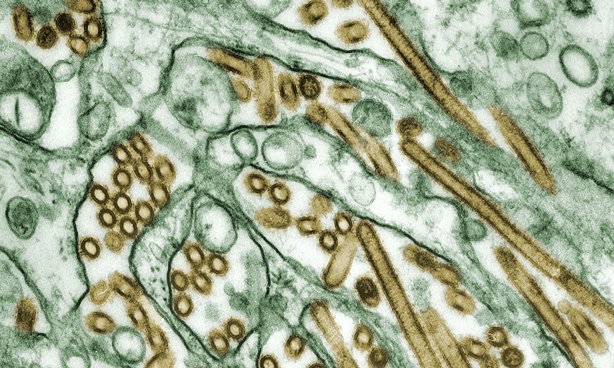 Des scientifiques ont passé 10 ans sur un ce phénomène complexe, l'IA de Google l'a résolu en 48 heures 2 Des scientifiques ont passe 10 ans sur un mystere de