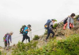 Des Touristes Louent Des Jambes Robotiques Pour Gravir Des Montagnes.jpg