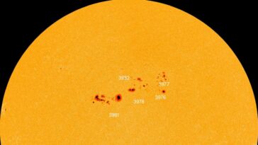 Énorme et instable complexe de taches solaires de 500 000 km apparu sur le Soleil : quelles sont les menaces ? 12 Crédit : NASA / SDO / spaceweather.com